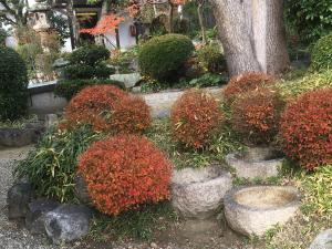 杉山家住宅の庭園