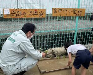 富田林小学校復興米田植え