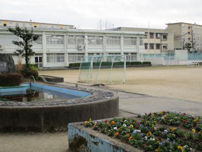 学校4