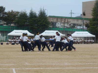 タイヤ引き