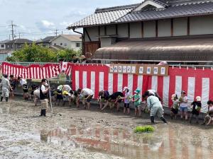 奇跡の復興米田植え風景2