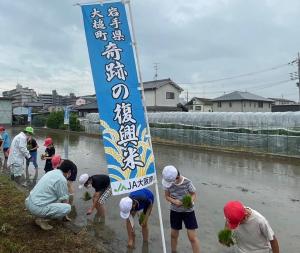 奇跡の復興米田植え風景