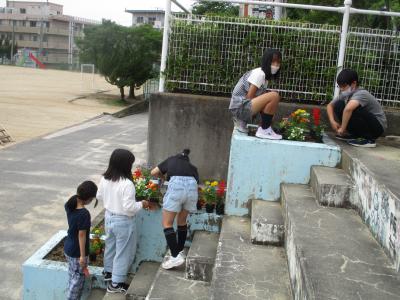 植えるよ