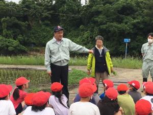 彼方小学校田植え様子1