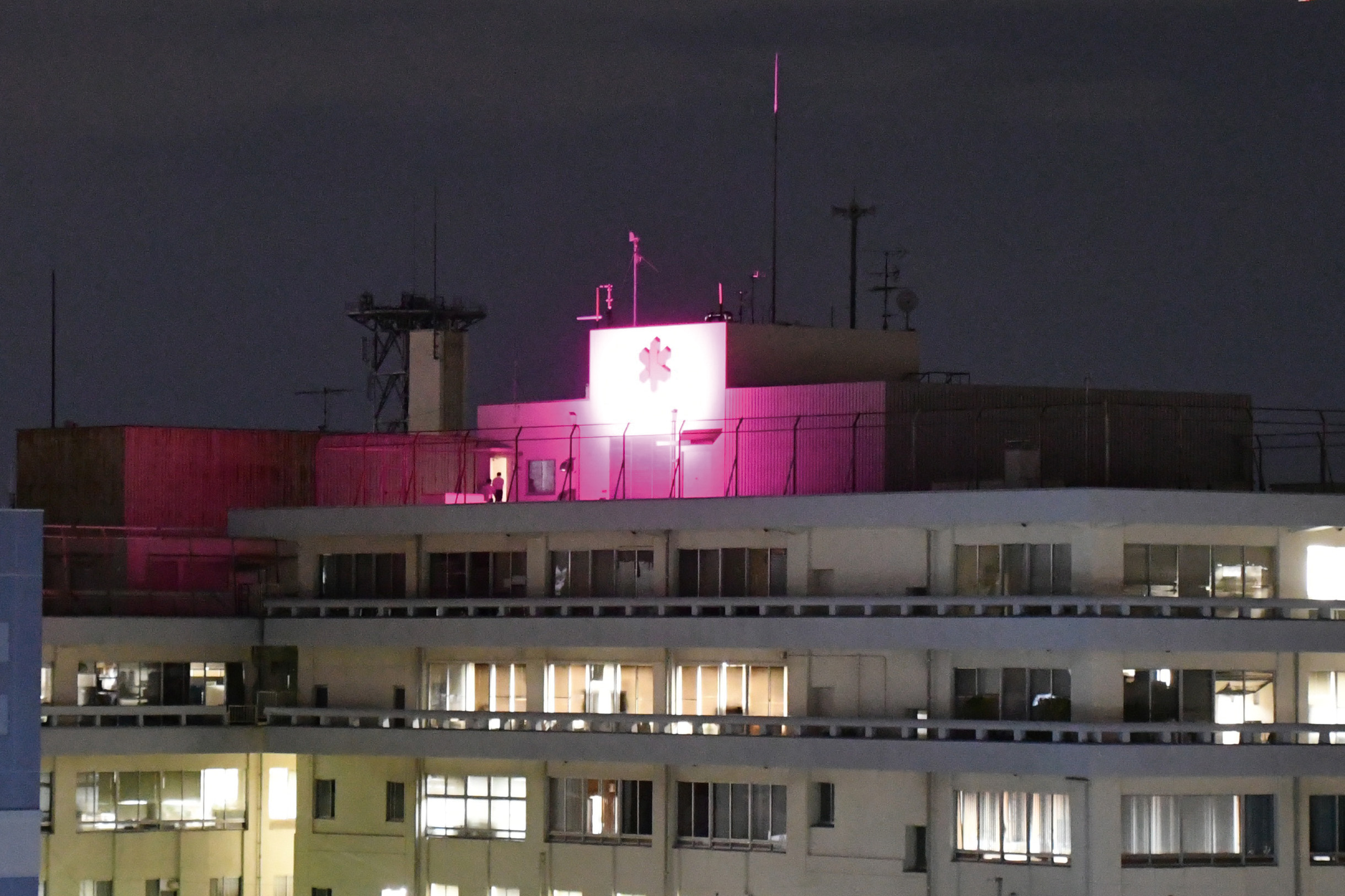 ピンクライトアップ写真