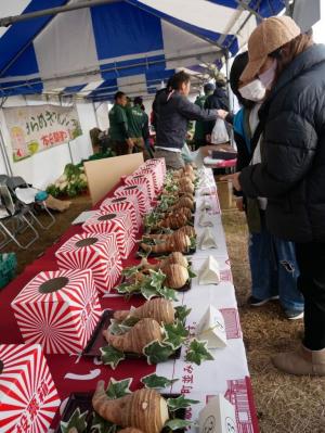農業祭の海老芋