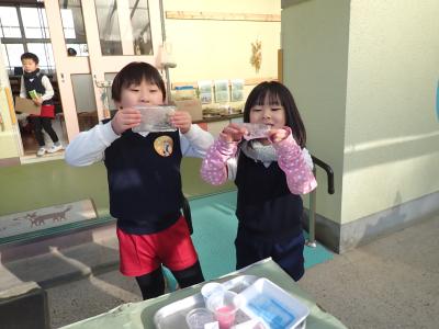 5歳児あじさい組 あらかじめ氷ができるか容器に水を入れて実験