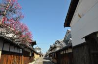 春の寺内町の写真